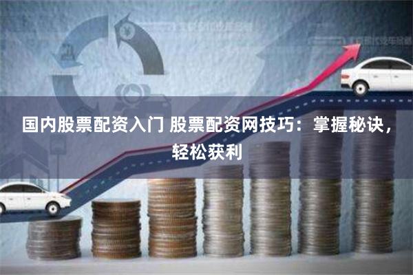 国内股票配资入门 股票配资网技巧：掌握秘诀，轻松获利
