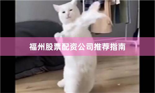 福州股票配资公司推荐指南