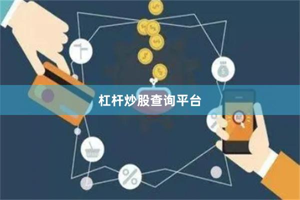杠杆炒股查询平台